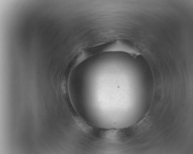 X0000060550090200511101548