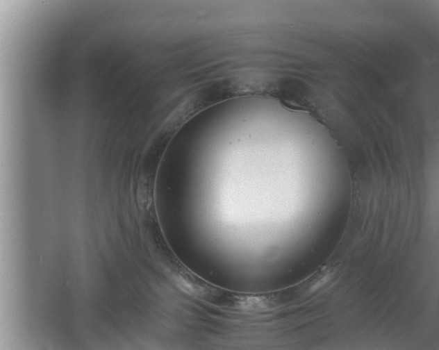 X0000060550091200511101548