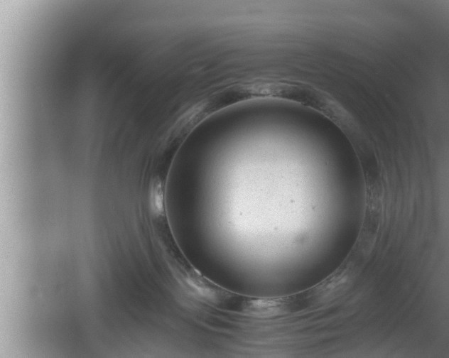 X0000060550095200511101548