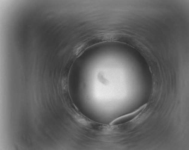 X0000060550096200511101549