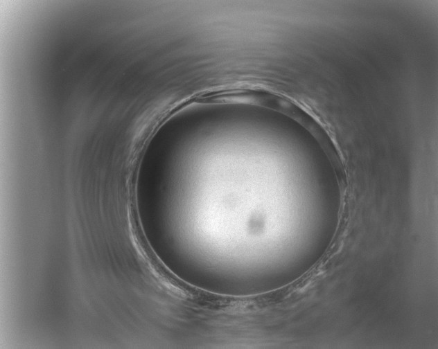 X0000060550097200511101548