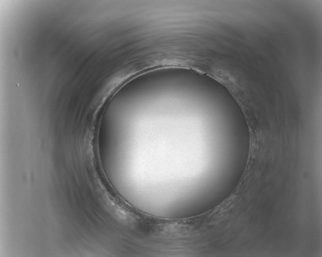 X0000060550098200511101548