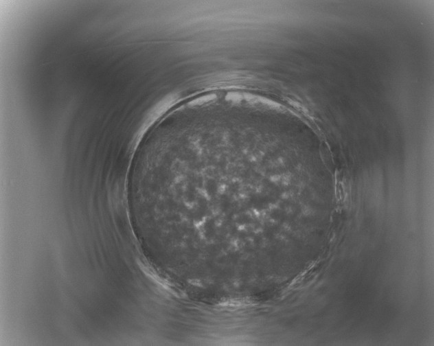 X0000060550099200511101548