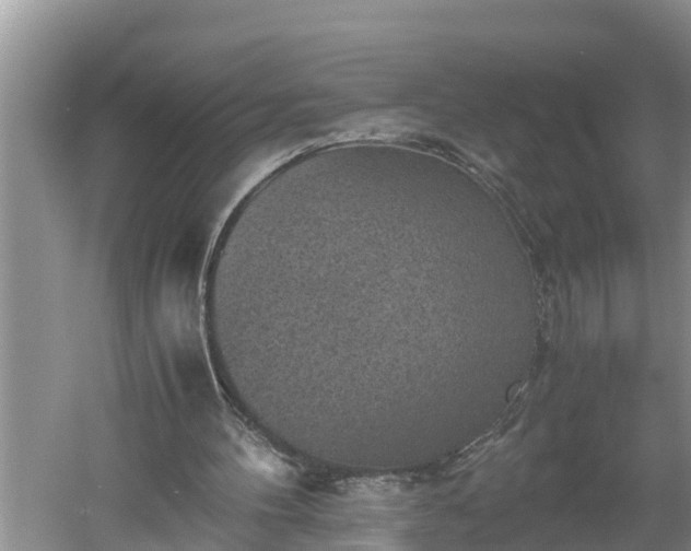 X0000060550100200511101548