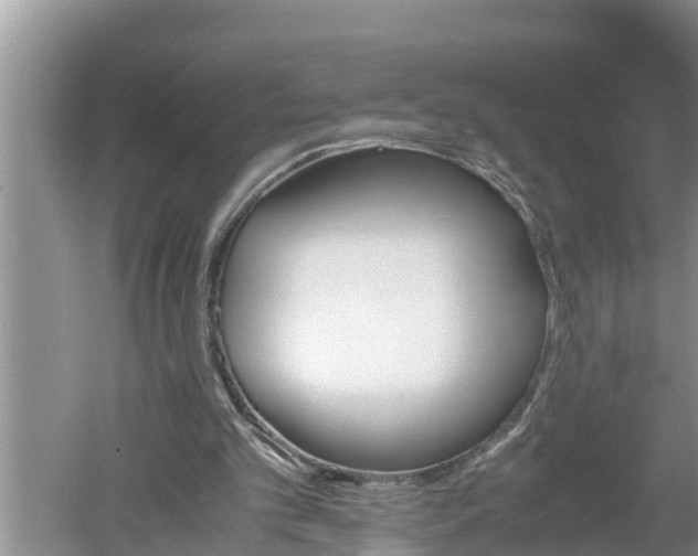 X0000060550101200511101548