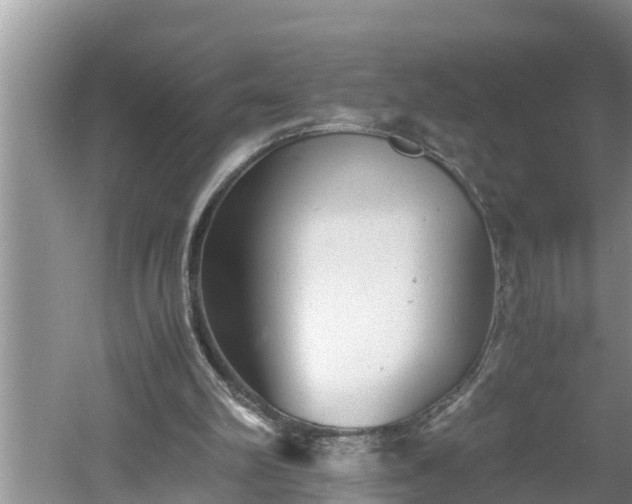 X0000060550102200511101548