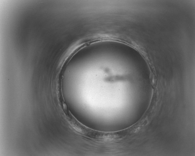 X0000060550103200511101548