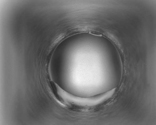 X0000060550105200511101548