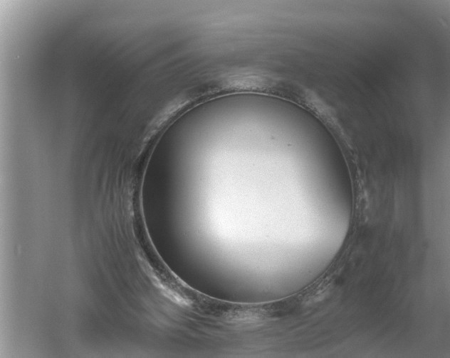 X0000060550106200511101548