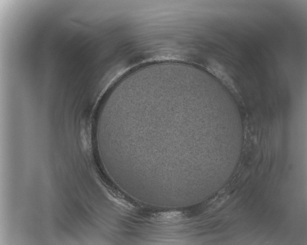 X0000060550108200511101548