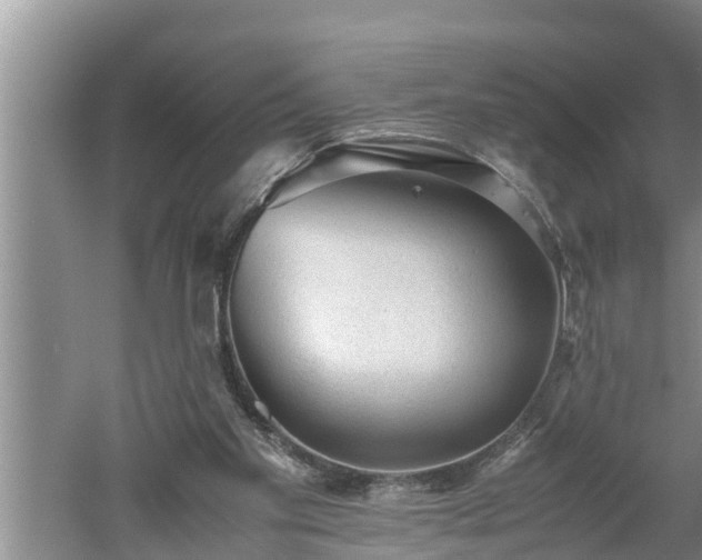 X0000060550109200511101547