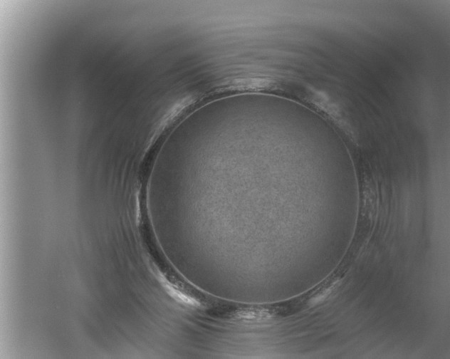 X0000060550110200511101547