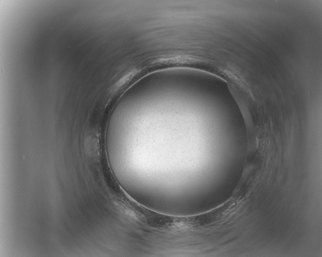 X0000060550111200511101547