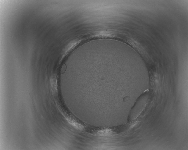 X0000060550112200511101547