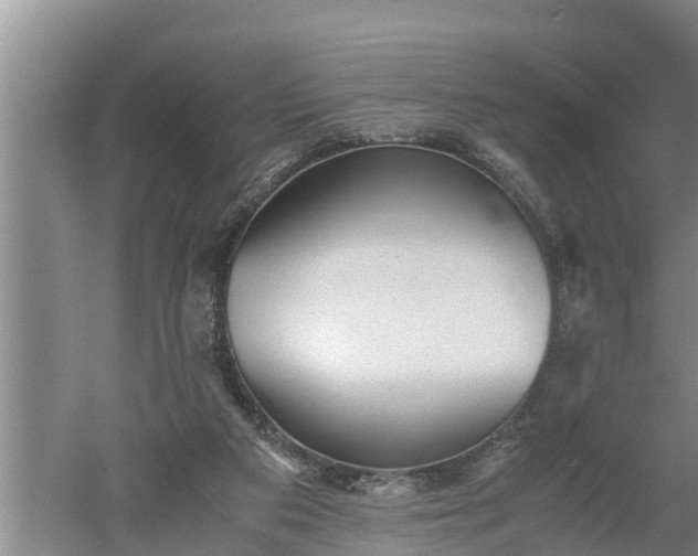 X0000060550113200511101547