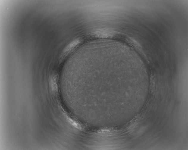 X0000060550114200511101547