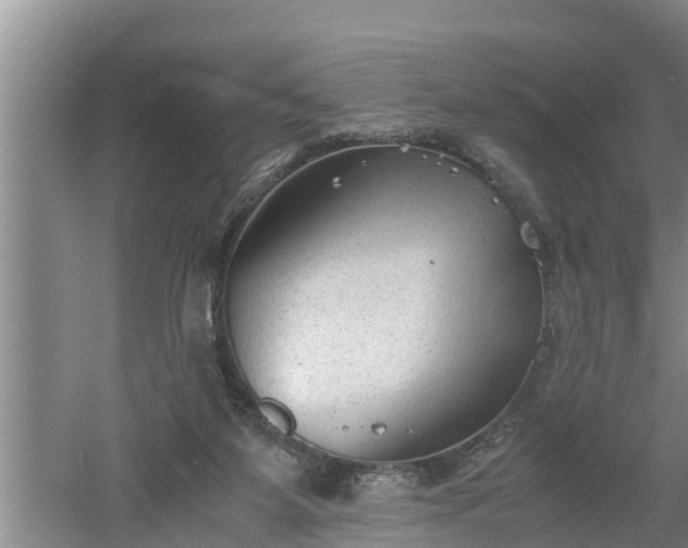 X0000060550115200511101547