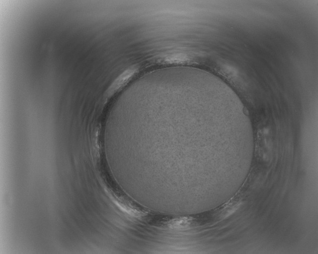 X0000060550116200511101547