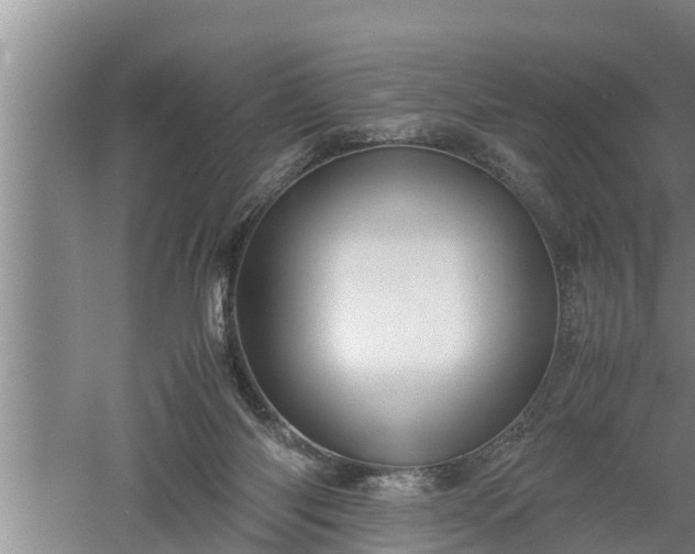 X0000060550118200511101547