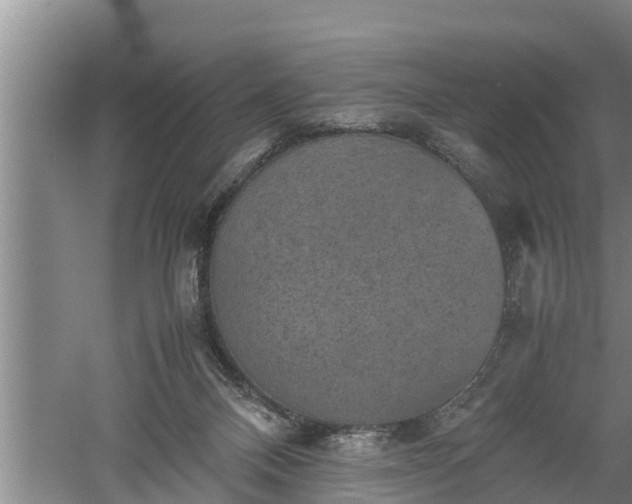 X0000060550120200511101547