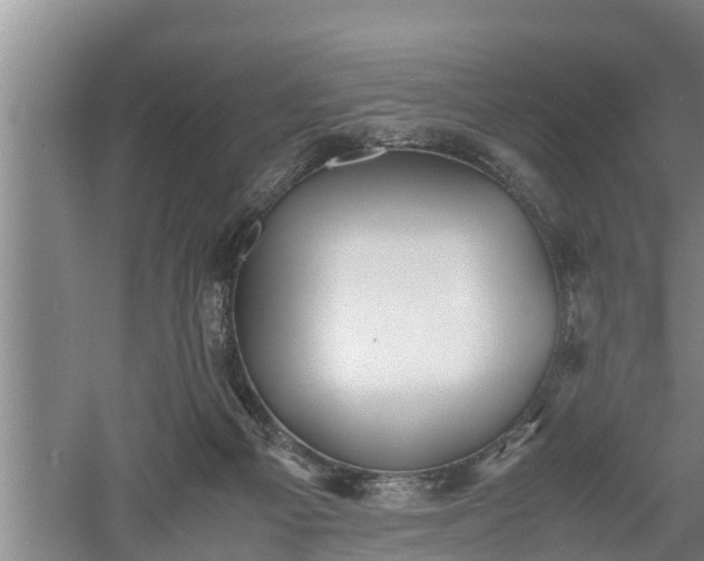 X0000060550121200511101547