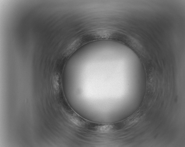 X0000060550122200511101547