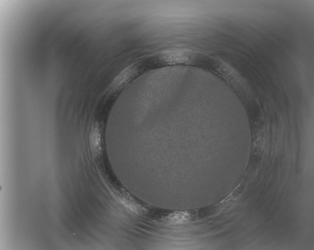 X0000060550124200511101547