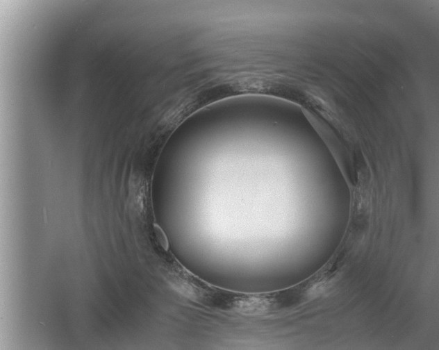 X0000060550125200511101547