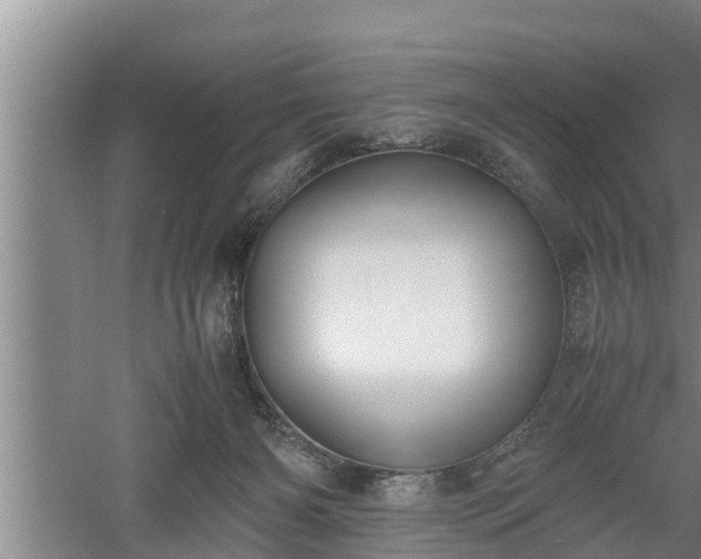 X0000060550126200511101547