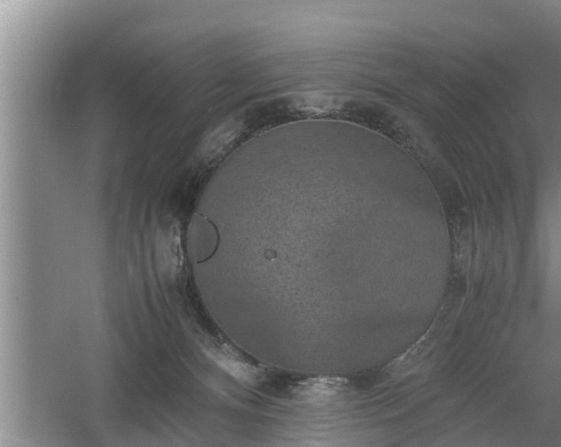 X0000060550128200511101547