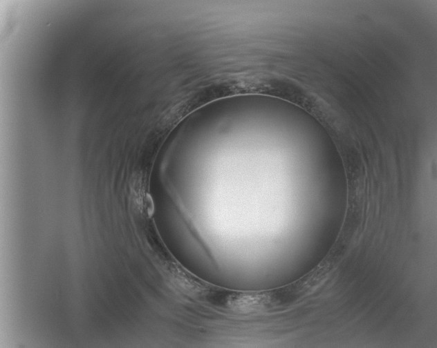 X0000060550129200511101547