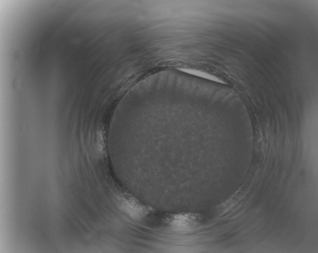 X0000060550130200511101547