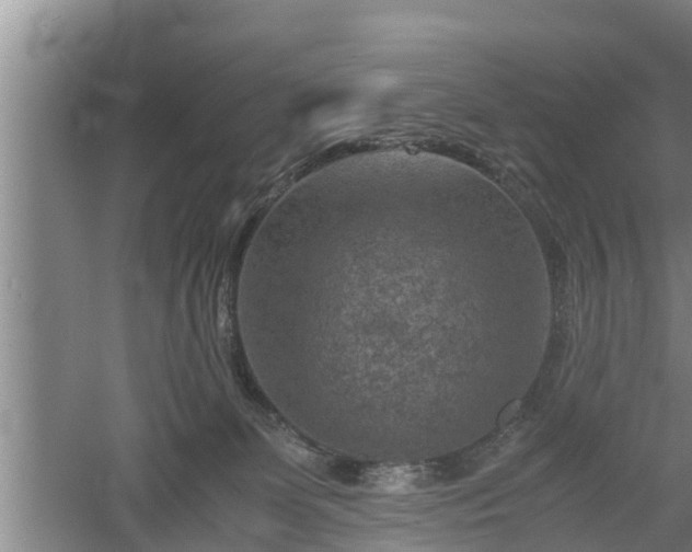 X0000060550131200511101547