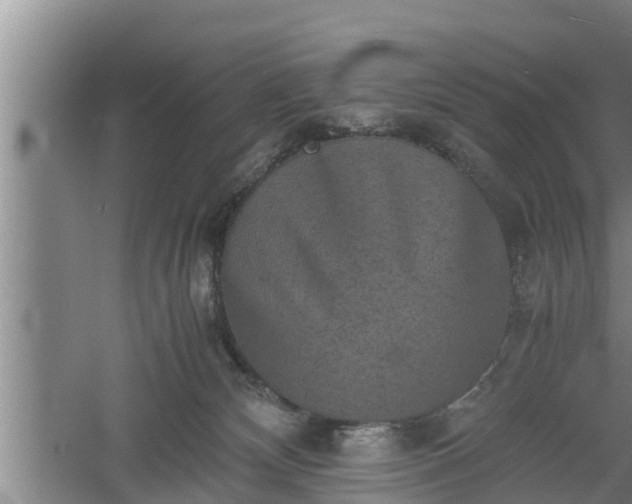 X0000060550132200511101547