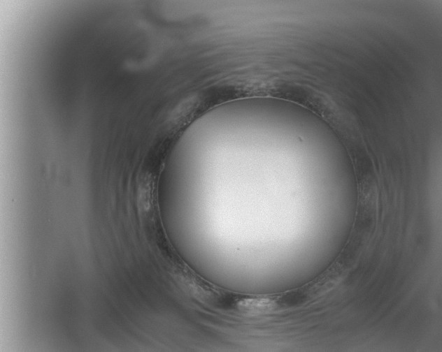 X0000060550133200511101547