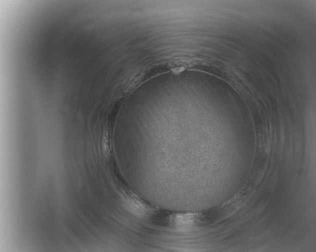 X0000060550134200511101547