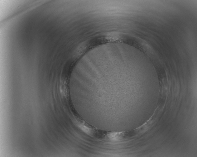 X0000060550136200511101547