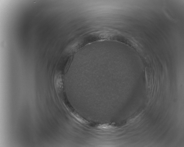 X0000060550137200511101547