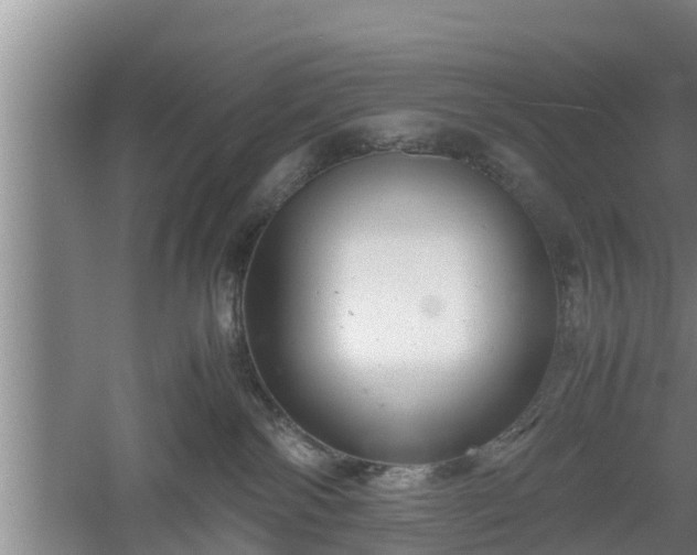 X0000060550138200511101547