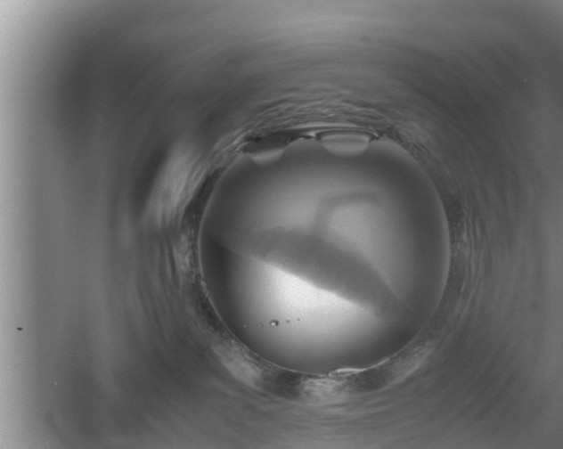 X0000060550139200511101547