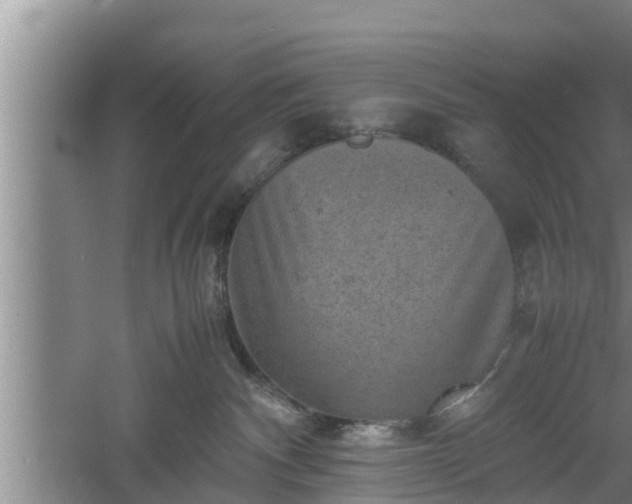 X0000060550140200511101547