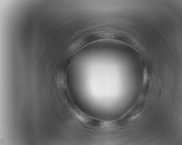 X0000060550141200511101547