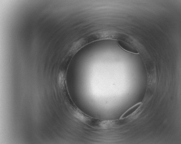 X0000060550142200511101547