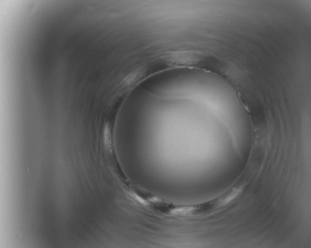 X0000060550143200511101547