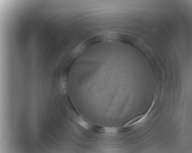 X0000060550144200511101547