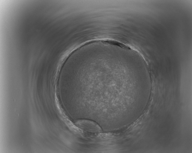 X0000060550145200511101546