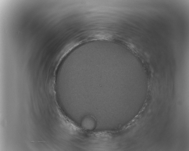 X0000060550146200511101546