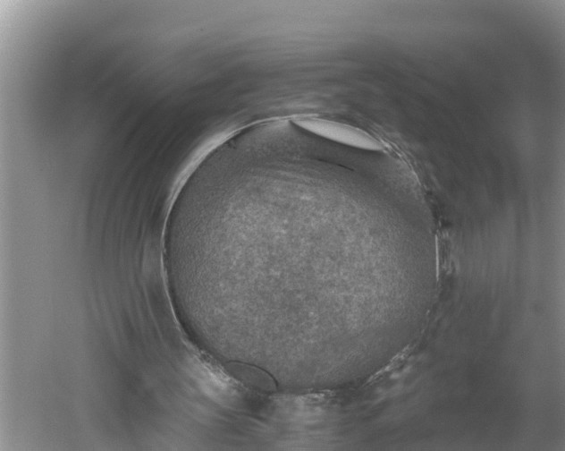 X0000060550147200511101546