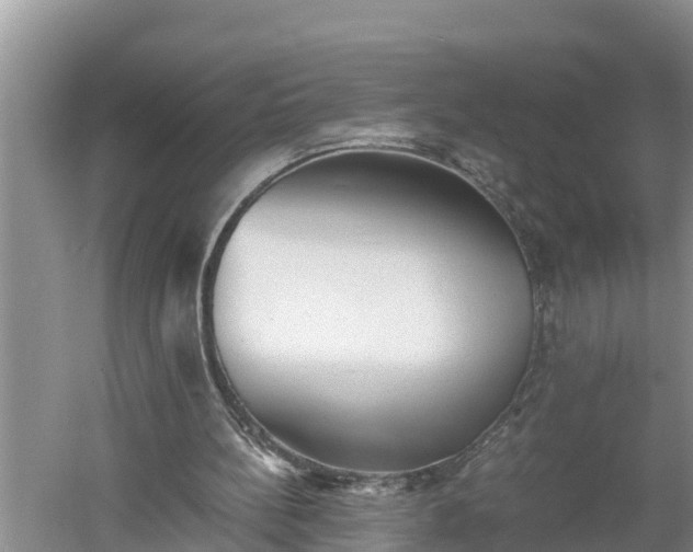 X0000060550148200511101546