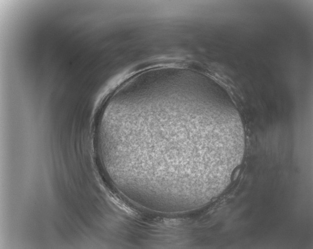 X0000060550149200511101546